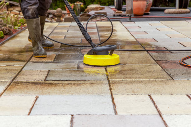 Best Boat and Dock Cleaning  in Starbuck, MN